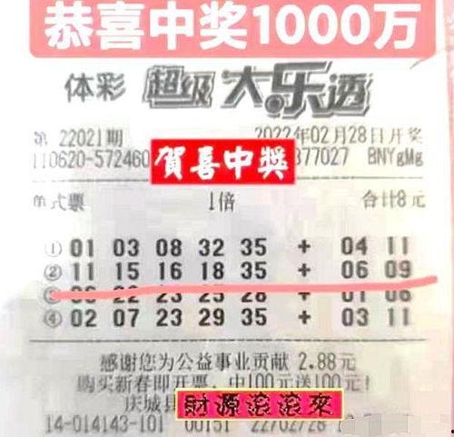 大乐透开奖结果购买,幸运号码助你一臂之力