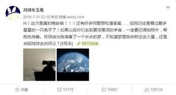 新浪今晚开奖结果,大奖花落谁家？”
