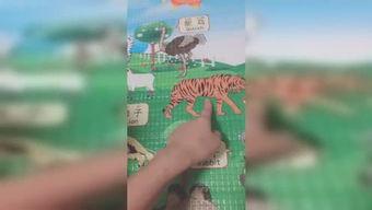 小小幸运双胆,揭秘双色球中的神秘组合