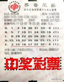 双色球篮球复制,揭秘复式投注策略，助你轻松中奖