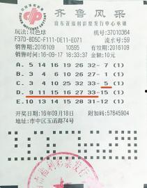双色球篮球复制,揭秘复式投注策略，助你轻松中奖