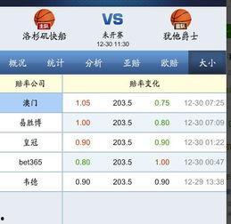 篮球大小分124.5,揭秘124.5cm篮球的独特魅力