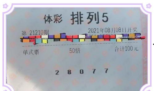彩票排三幸运码,揭秘中奖秘诀