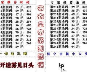 3d字谜幸运星,幸运星指引下的智慧之旅