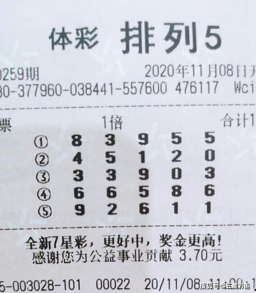 3d字谜幸运星,幸运星指引下的智慧之旅