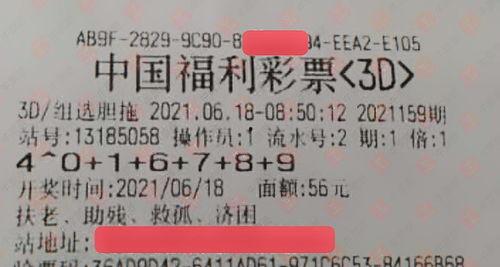 关于3d,3D生成技术的无限可能