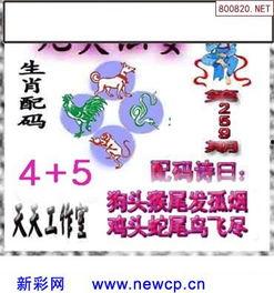 3d图迷总汇迷,探索立体空间解谜之旅