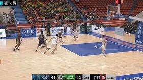 安养人参篮球,融合养生与竞技的篮球新风尚