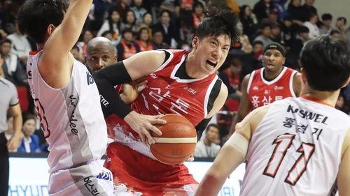 安养人参篮球,融合养生与竞技的篮球新风尚