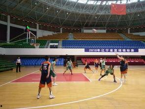 2018辽宁篮球主场,激情燃烧的篮球盛宴