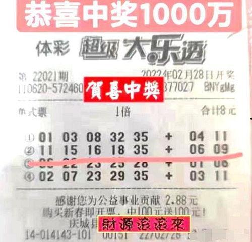 大乐透开奖结果说,幸运号码揭晓，大奖花落谁家？