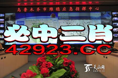 东方新经开奖结果,幸运号码揭晓，大奖花落谁家？