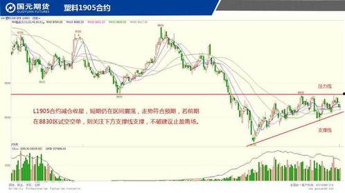 幸运11选五5是哪个省,探寻5号彩球的神秘归属省份”
