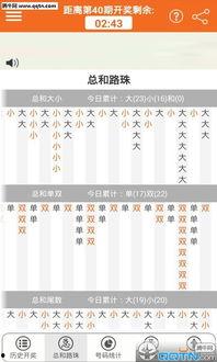 幸运农场拖胆金额计算,精准计算，赢取大奖攻略